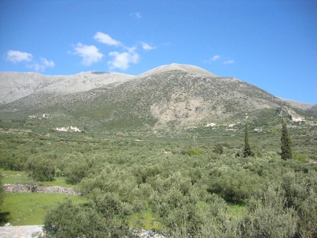 Kafiona Guesthouse Pyrgos Dirou Exterior photo